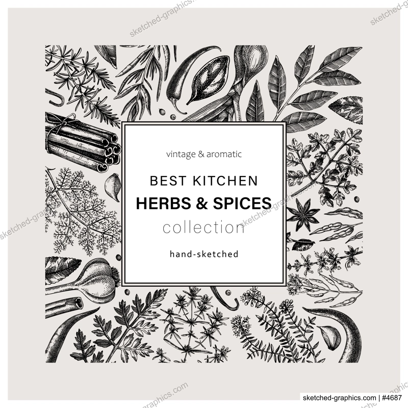 Hand-drawn herbs and spices square card. Hand-sketched food black outlines wreath. Vintage aromatic plants hand-drawing. Kitchen herbs and spice frame template in sketched style for menu or packaging