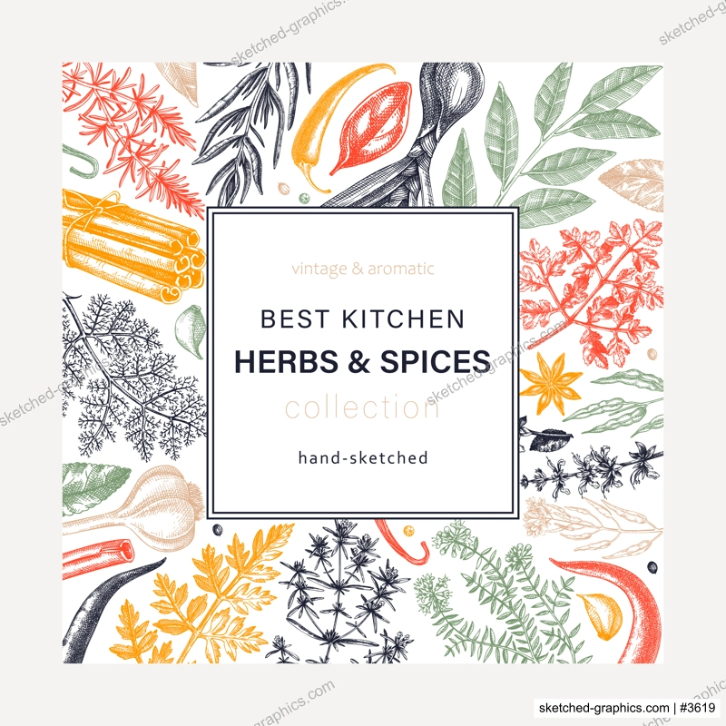 Hand-drawn herbs and spices square wreath. Hand-sketched food card design. Vintage aromatic plants hand-drawing in color. Kitchen herbs and spice frame template in sketched style for menu or packaging