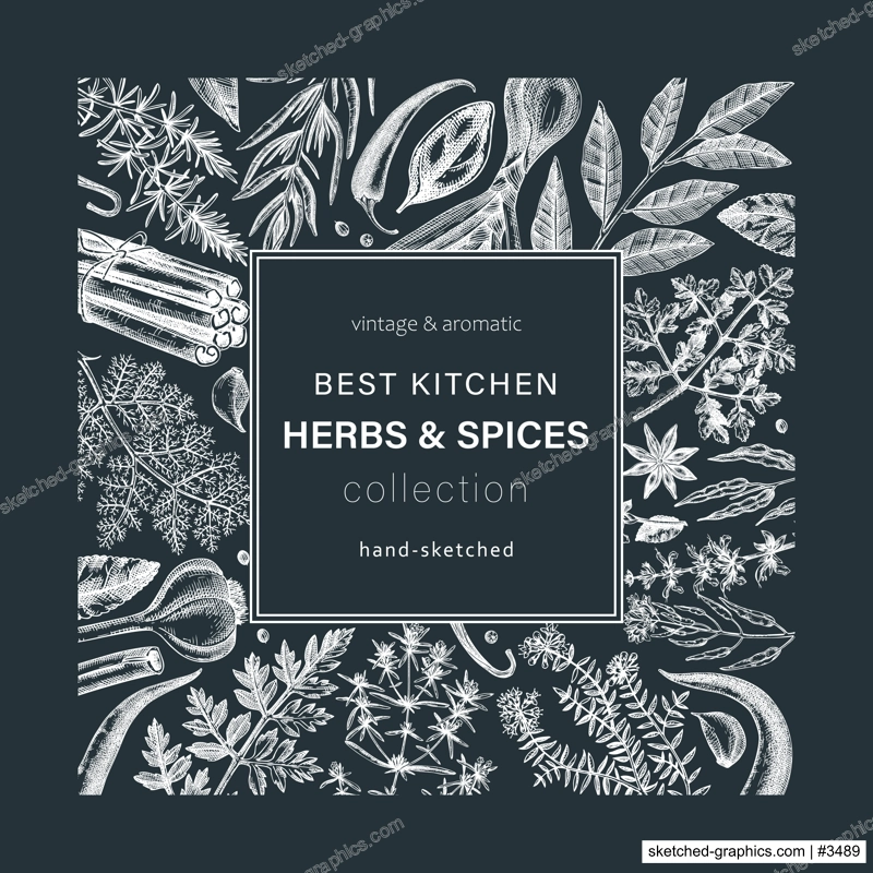 Hand-drawn herbs and spices wreath. Hand-sketched food card on chalkboard Vintage aromatic plants hand-drawing. Kitchen herbs and spice frame template in sketched style for menu or banners