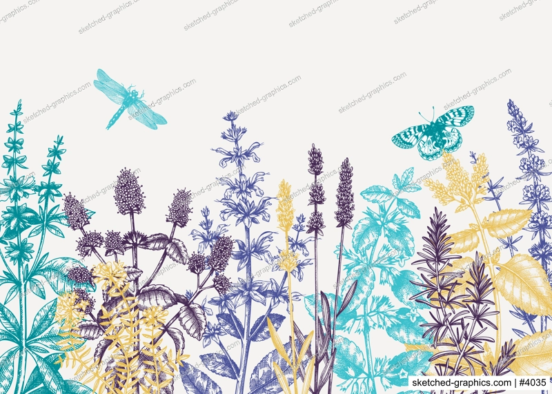 Hand sketched summer herbs background in colors Mints and balms plants design. Vintage herbs, wild flowers, weeds hand drawings. Herbal tea ingredients template. 