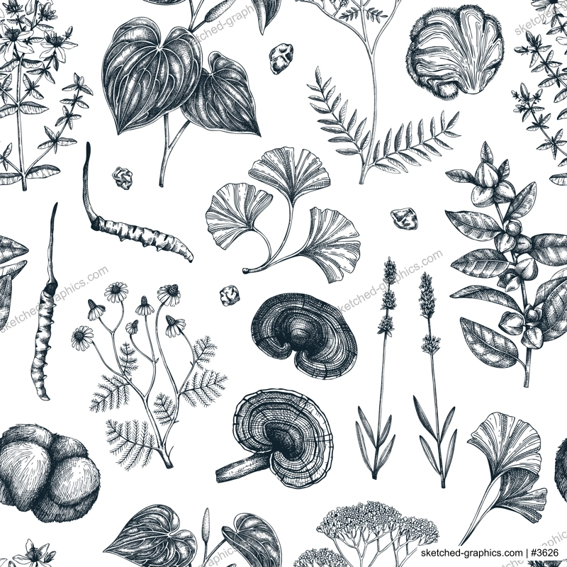 Mental health herbs and mushrooms background. Hand-drawn vector illustrations. Healing plants seamless pattern. Natural remedies, medicinal mushroom sketches