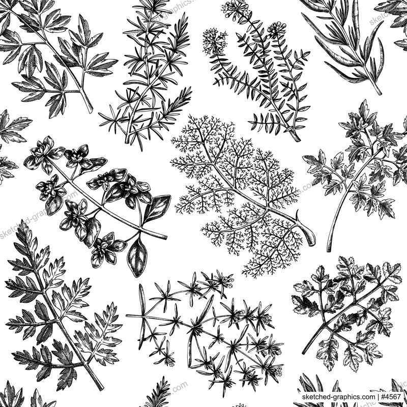 Hand-drawn herbs seamless pattern. Hand-sketched food background. Vintage aromatic plants backdrop in sketched style. Kitchen spice and herbs drawings for packaging, menu, labels