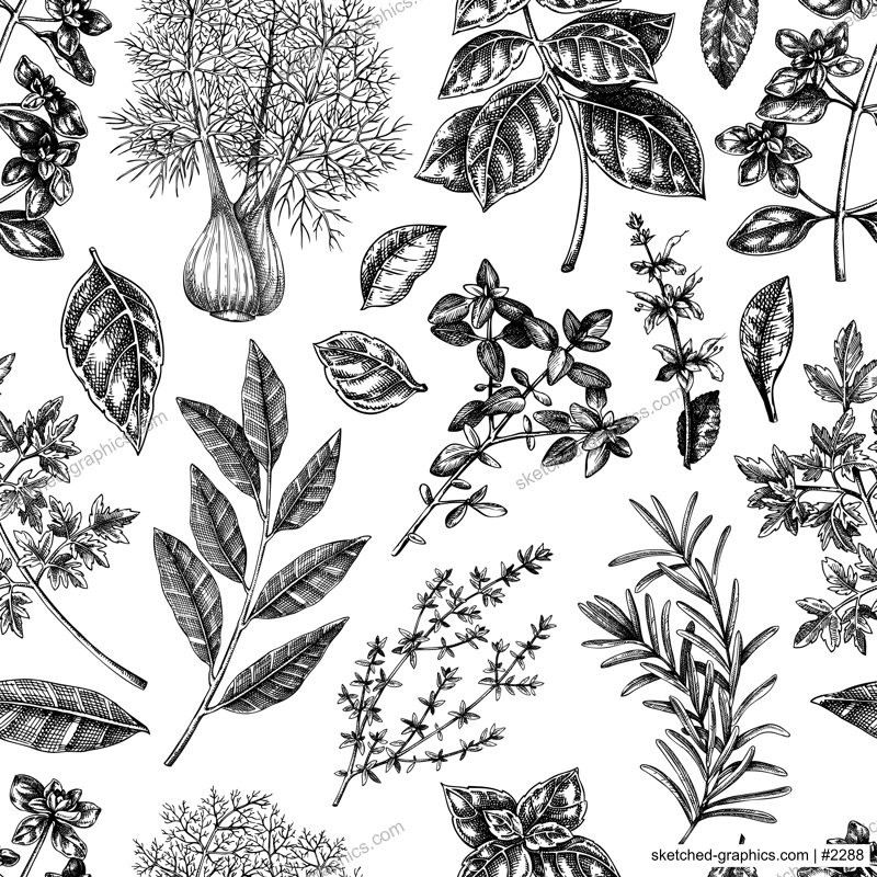 Herbs and spice seamless pattern. Italian cuisine background. Basil, mint, rosemary, parsley, sage, bay leaf, fennel sketches. Kitchen spices hand-drawn vector illustration. NOT AI generated