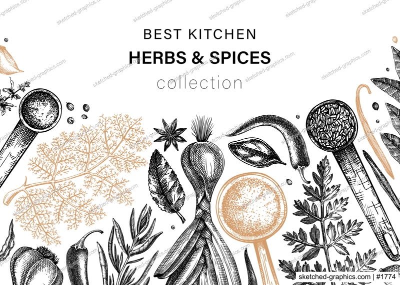 Hand drawn herbs and spices vector banner design. Hand-sketched food illustration. Vintage aromatic plants hand-drawing. Kitchen herbs and spice frame template in sketched style.