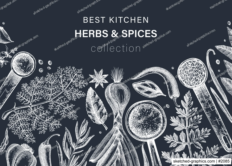 Hand drawn herbs and spices vector banner on chalkboard. Hand-sketched food illustration. Vintage aromatic plants hand-drawing. Kitchen herbs and spice frame template in sketched style.