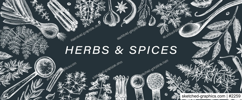 Hand drawn herbs and spices vector banner. Hand sketched food illustration on chalkboard. Vintage aromatic plants hand-drawing. Sketched style. Kitchen spice and herbs black and white design
