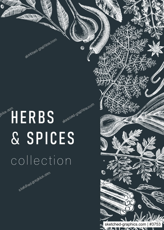 Hand-drawn herbs and spices vector card on chalkboard. Hand-sketched food illustration. Aromatic plant drawings. Kitchen herbs and spice frame template in sketched style for packaging, menu, banners