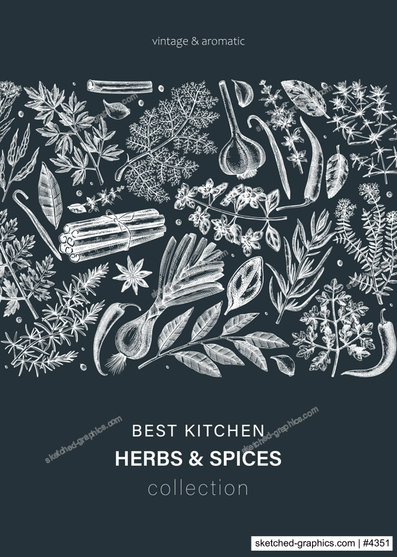 Hand-drawn herbs and spices vector card on chalkboard. Hand-sketched food illustration. Aromatic plant drawings. Kitchen herbs and spice frame template in sketched style for invitation, menu, banners