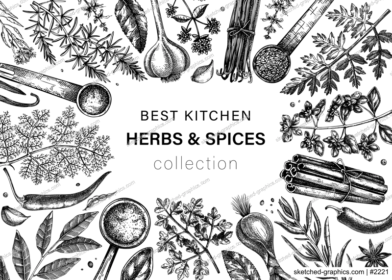 Hand drawn herbs and spices vector frame design. Hand-sketched food illustration. Vintage aromatic plants hand-drawing. Kitchen herbs and spice frame template in sketched style.