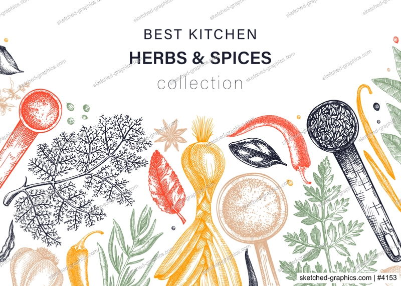 Hand-drawn herbs and spices vector background in color. Hand-sketched food illustration. Aromatic plants hand-drawing. Kitchen herbs and spice frame template in sketched style for menu or banners