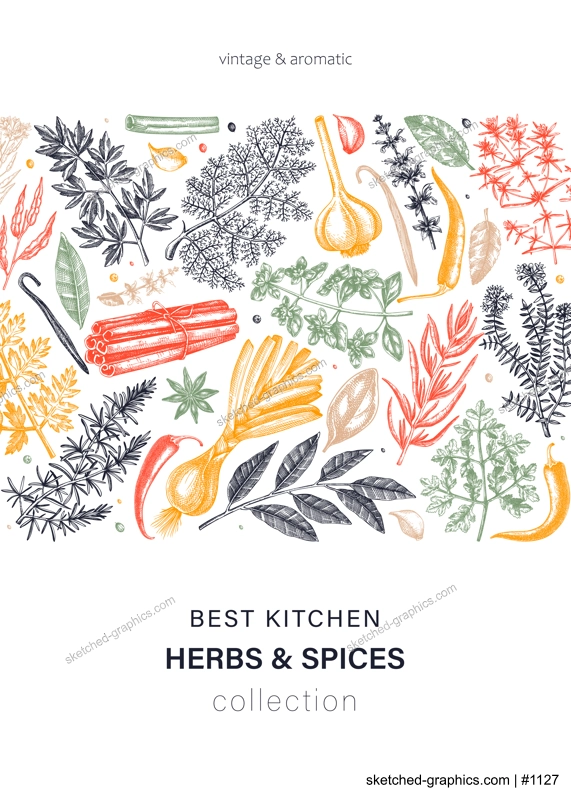 Hand-drawn herbs and spices vector card in color. Hand-sketched food illustration. Aromatic plant drawings. Kitchen herbs and spice frame template in sketched style for packaging, menu, banners