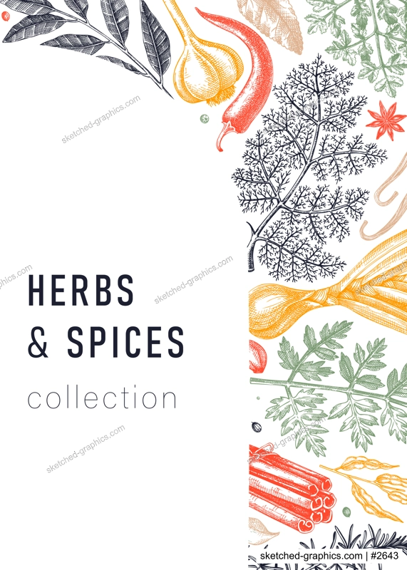 Hand-drawn herbs and spices vector card in color. Hand-sketched food illustration. Aromatic plant drawings. Kitchen herbs and spice frame template in sketched style for packaging, menu, banners