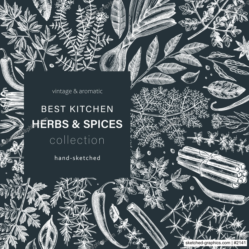 Hand-drawn herbs and spices vector design. Hand-sketched food square card. Vintage aromatic plants hand-drawing. Kitchen herbs and spice frame template on chalkboard for menu or banners