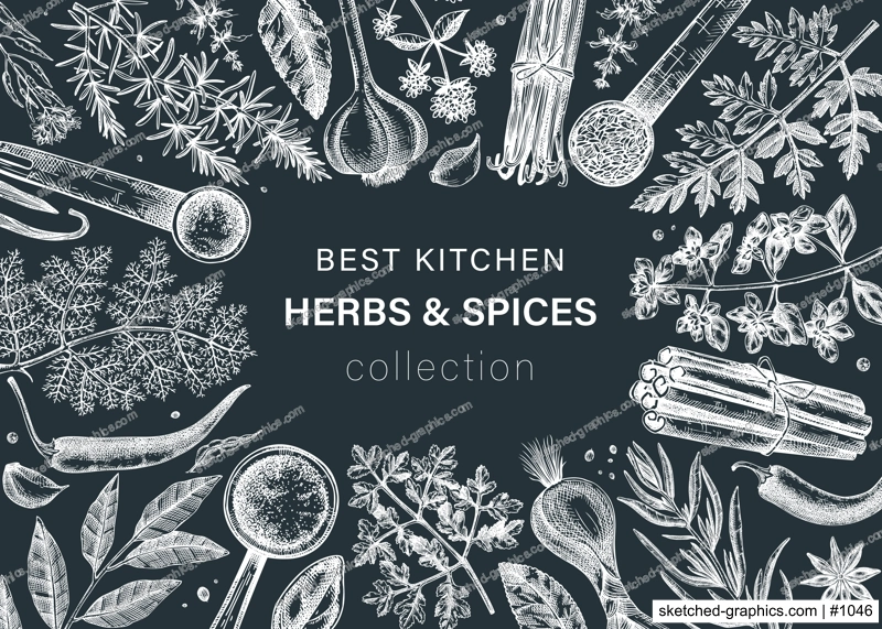 Hand drawn herbs and spices vector frame design. Hand-sketched food illustration on chalkboard. Vintage aromatic plants hand-drawing. Kitchen herbs and spice frame template in sketched style.