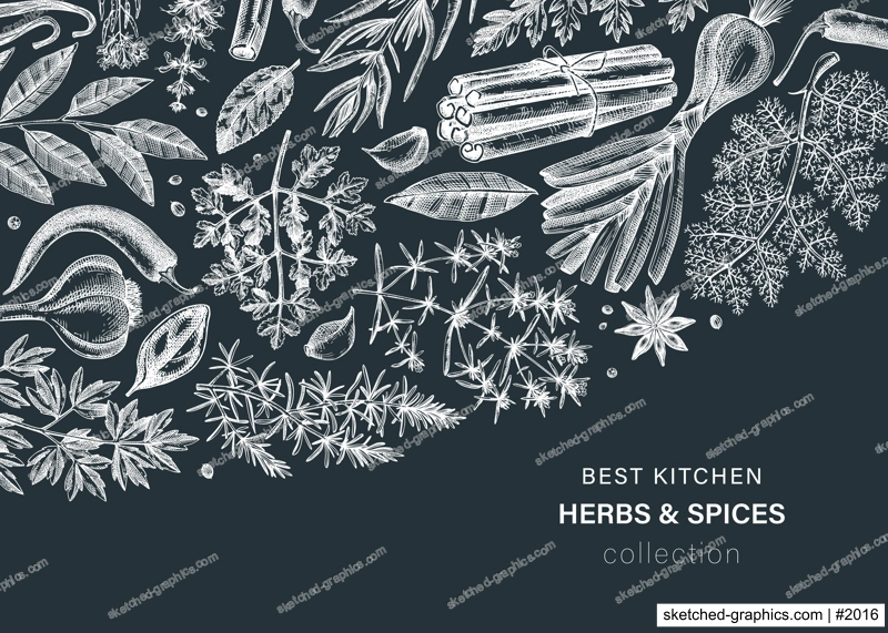 Hand-drawn herbs and spices vector banner. Hand-sketched food illustration. Vintage aromatic plants hand-drawing. Kitchen herbs and spice frame template in sketched style. Menu design on chalkboard