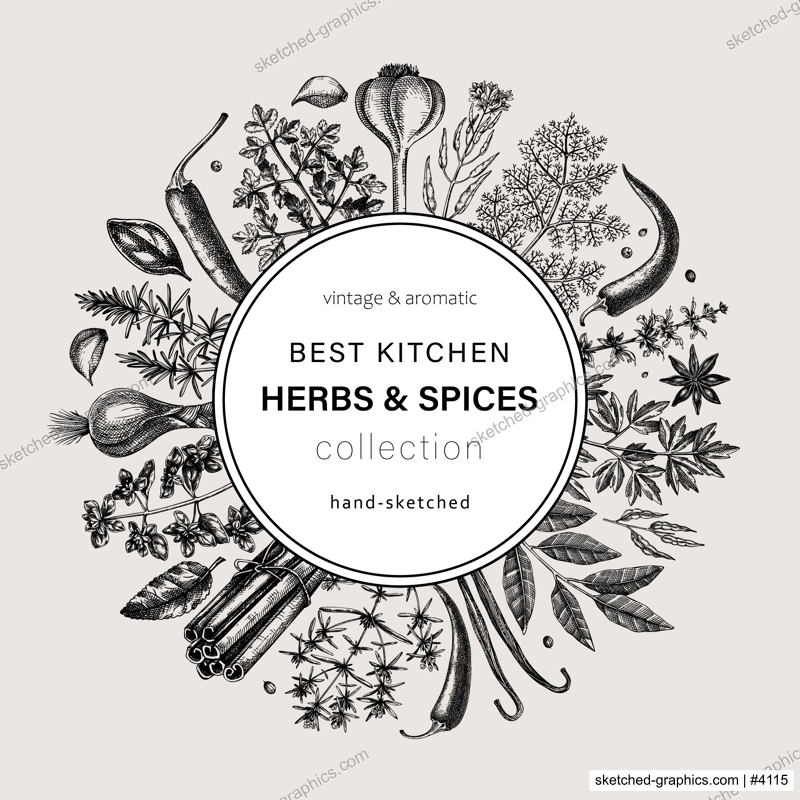 Hand-drawn herbs and spices round design. Hand-sketched food vintage wreath. Vintage aromatic plants hand-drawing. Kitchen herbs and spice frame template in sketched style for menu or banners