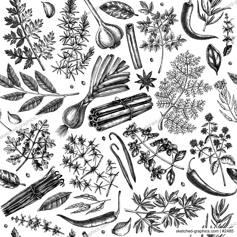 Hand-drawn herbs and spices background. Hand-sketched food backdrop. Vintage aromatic plants seamless pattern in sketched style. Kitchen spice and herbs drawings for packaging, menu, labels
