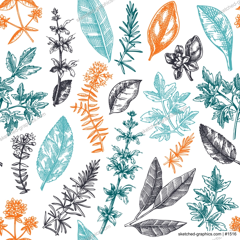Vector background with typical herbs and spices leaves. Hand-sketched kitchen herbal plants for Italian cuisine seamless pattern. Aromatic food cooking ingredients backdrop. Hand drawn herbs design