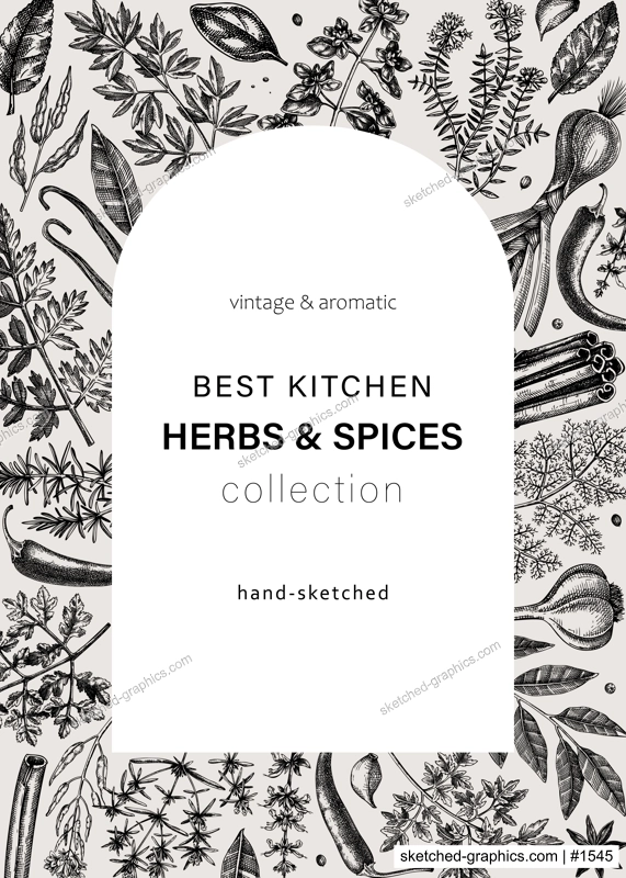 Hand-drawn herbs and spices vintage card. Hand-sketched food vector illustration. Aromatic plant drawings. Kitchen herbs and spice frame arc template in sketched style for invitation, menu, banners