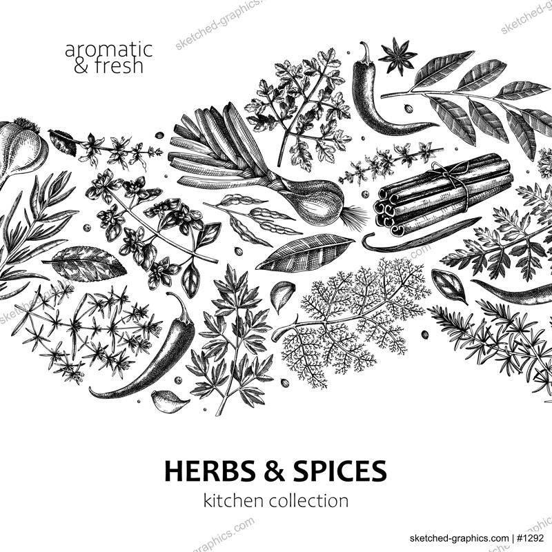 Hand-drawn herbs and spices wave design. Hand-sketched food black outline card. Vintage aromatic plants hand-drawing. Kitchen herbs and spice banner template in sketched style for menu or packaging