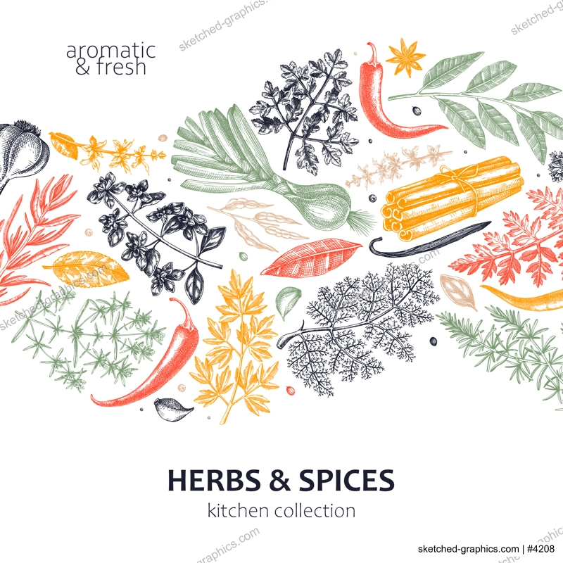 Hand-drawn herbs and spices wave design. Hand-sketched food card in color. Vintage aromatic plants hand-drawing. Kitchen herbs and spice banner template in sketched style for menu or packaging
