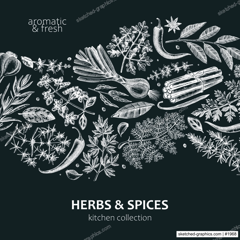 Hand-drawn herbs and spices wave design. Hand-sketched food card on chalkboard. Vintage aromatic plants hand-drawing. Kitchen herbs and spice banner template in sketched style for menu or packaging
