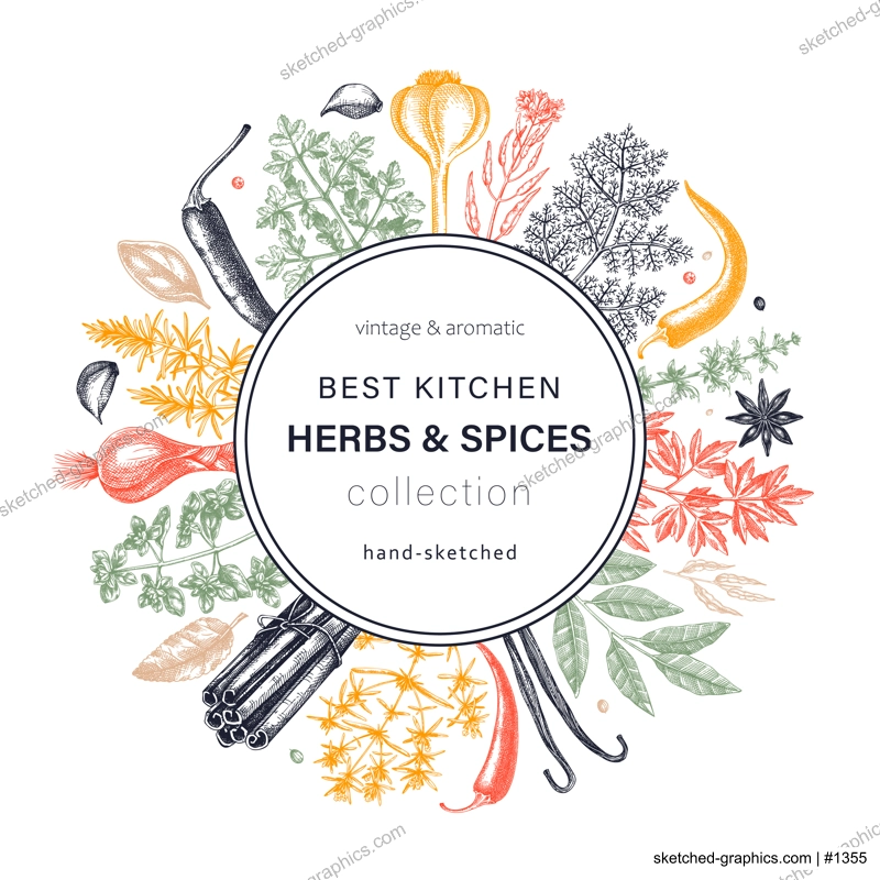 Hand-drawn herbs and spices round design. Hand-sketched food wreath in color. Vintage aromatic plants hand-drawing. Kitchen herbs and spice frame template in sketched style for menu or banners