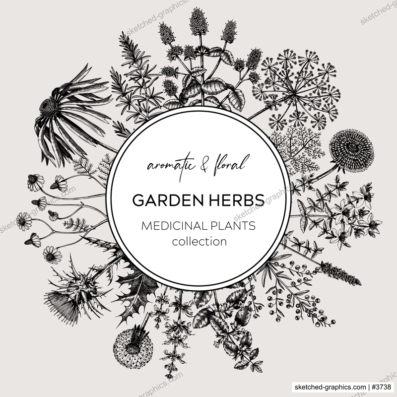 Vintage herbs wreath. Sketched aromatic plants border. Botanical design. Herbal tea ingredient sketches. Hand drawn flowers banners for cosmetics, perfumery, herbal medicine. Floral card template