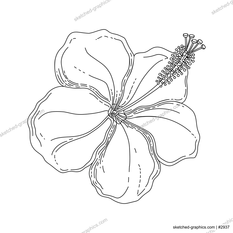 Hibiscus flower illustration. Modern botanical drawing for pattern, logo, template, banner, posters, invitation, and greeting card design. Black hibiscus outline. Tropical flower design.