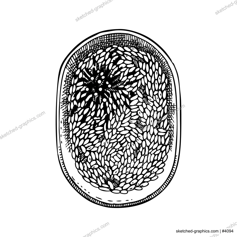 Hand drawn bowl of hijiki rice sketch. Hand drawn dish with edible seaweed, carrots, and fried tofu. Healthy food vector illustration. Japanese cuisine restaurant menu design. Sea kelp food