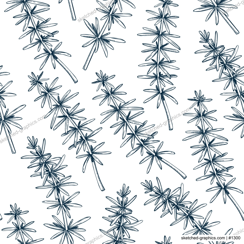 Edible seaweed background in sketch style. Vector food illustration. Hijiki drawings. Underwater plants seamless pattern for textile, packaging, wrapping paper or prints.
