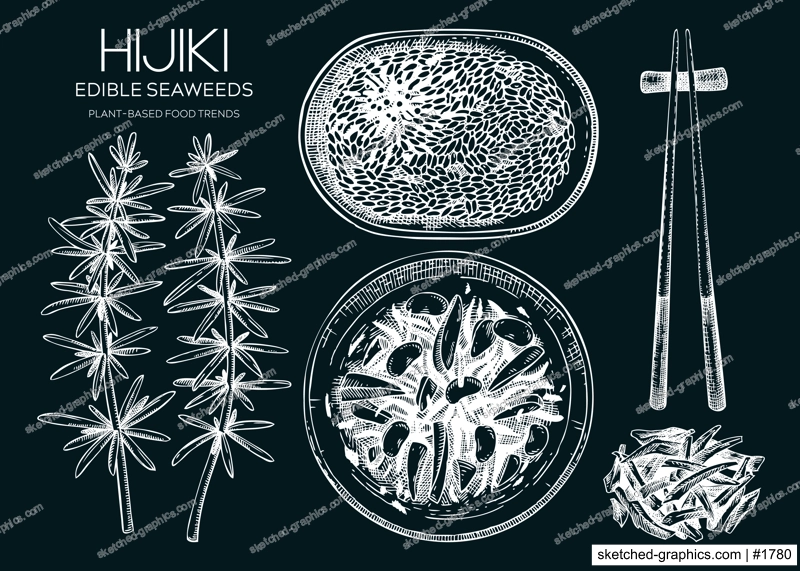 Hand-drawn hijiki sketches set. Sea vegetable drawings. Sea kale on chalkboard. Edible seaweed vector food illustration. Japanese cuisine dishes collection. Heathy eating ingredients