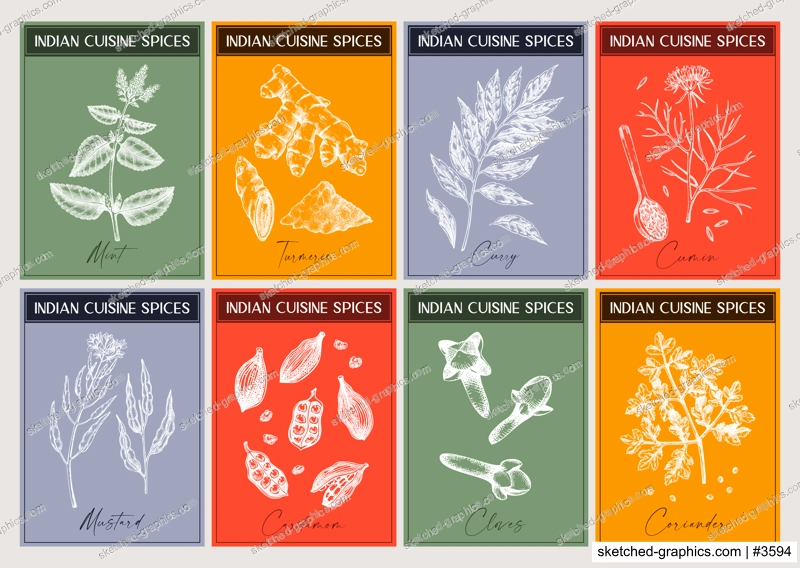 Indian spice labels set. Curry, cumin, mustard, turmeric, coriander, cloves sketches. Herbs and spices hand-drawn vectot illustration. Modern print design. NOT AI generated