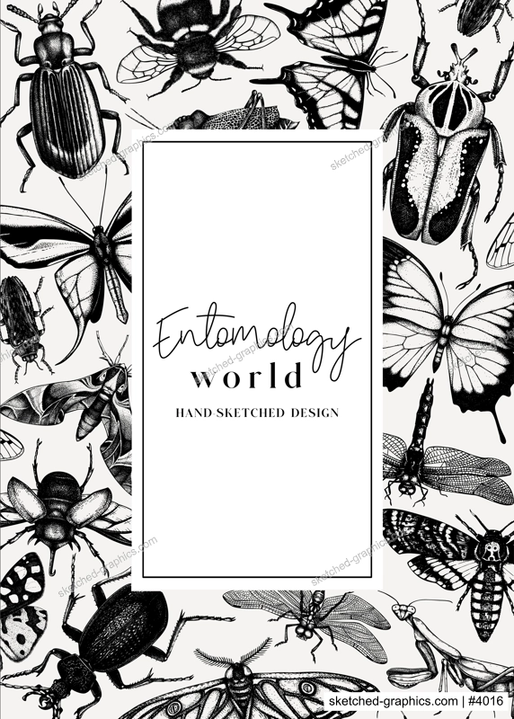 Hand-sketched insect card or invitation template. Hand drawn beetles, bugs, butterflies, dragonfly, cicada, moths, bee illustrations in vintage style. Entomological frame design with insects outlines