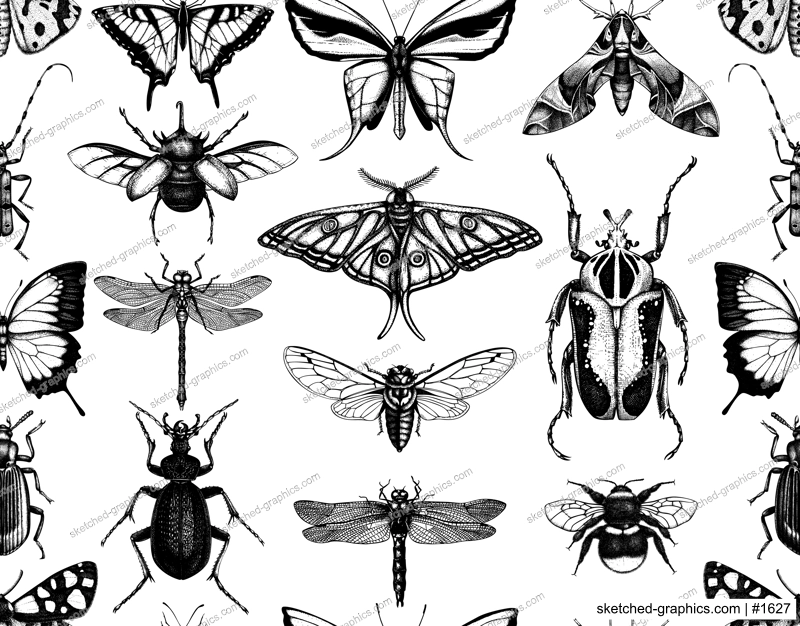 Seamless pattern with hand-sketched insects. Hand drawn beetles, bugs, butterflies, dragonfly, cicada, moths, bee illustrations. Vintage style backdrop. Entomological vector background