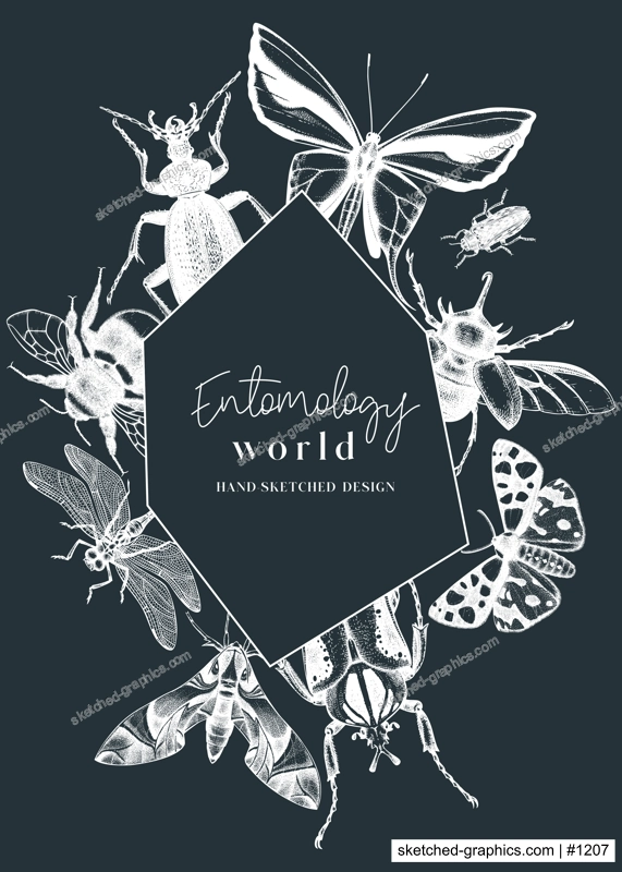 Hand-sketched insect wreath template on chalkboard. Hand drawn beetles, bugs, butterflies, dragonfly, cicada, bee illustrations in vintage style. Entomological frame design with insects outlines