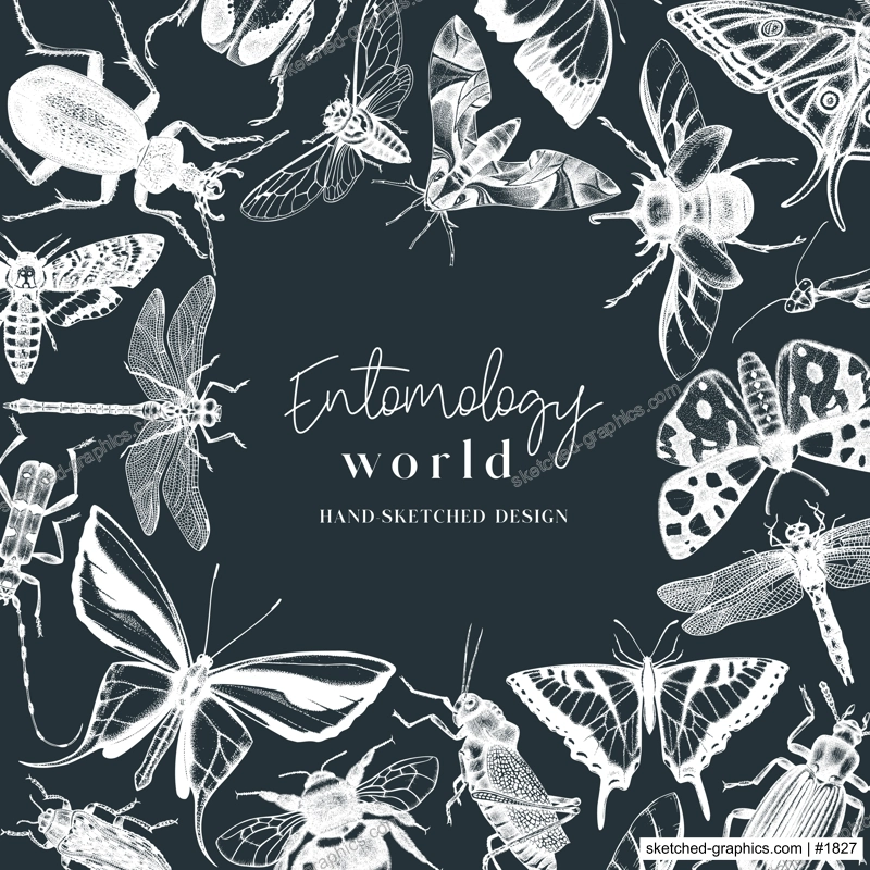 Hand-sketched insect wreath template. Hand drawn beetles, bugs, butterflies, dragonfly, cicada, moths, bee illustrations in vintage style. Entomological frame vector design.