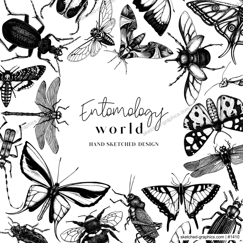 Hand-sketched insect wreath template. Hand drawn beetles, bugs, butterflies, dragonfly, cicada, moths, bee illustrations in vintage style. Entomological frame vector  design.