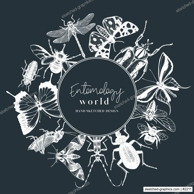 Hand-sketched insect wreath template. Hand drawn beetles, bugs, butterflies, dragonfly, cicada, moths, bee illustrations in vintage style. Entomological frame vector design on chalkboard