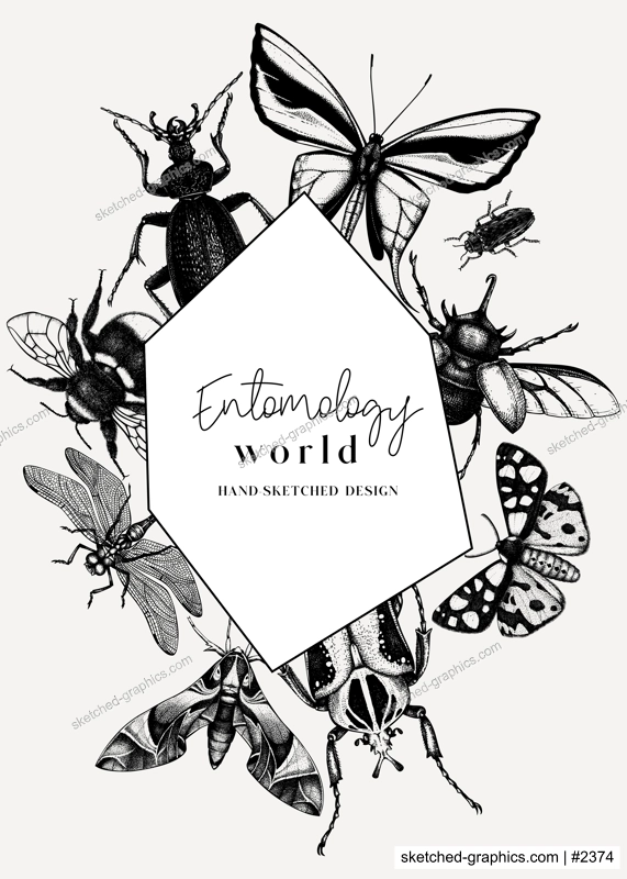 Hand-sketched insect wreath template. Hand drawn beetles, bugs, butterflies, dragonfly, cicada, moths, bee illustrations in vintage style. Entomological frame design with insects outlines