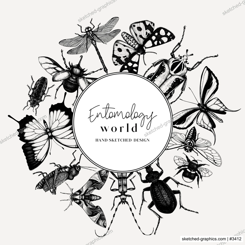 Hand-sketched insect wreath template. Hand drawn beetles, bugs, butterflies, dragonfly, cicada, moths, bee illustrations in vintage style. Entomological frame vector  design.