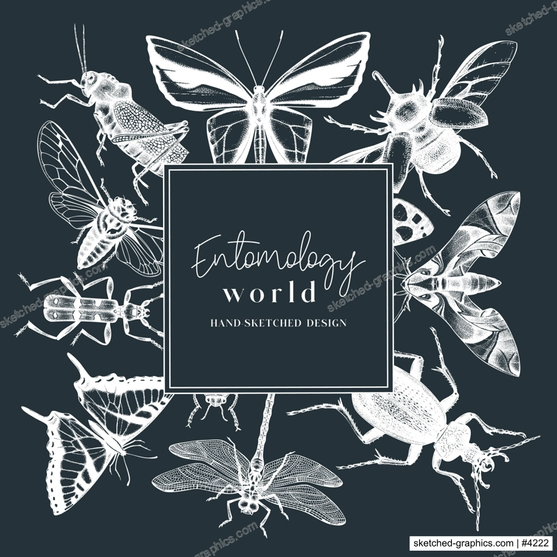Hand-sketched insect wreath template. Hand drawn beetles, bugs, butterflies, dragonfly, cicada, moths, bee illustrations in vintage style. Entomological frame vector  design.