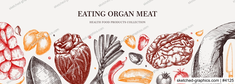 Internal organs banner. Liver, heart, kindle, tongue, offal, organ meat background. Ingredients, meat product, healthy food sketch. Engraved vector food illustration. Butchery design elements.