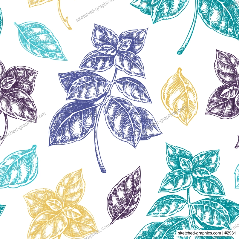 Italian Basil seamless pattern. Kitchen spice sketches. Italian herbs and spices background. Hand-drawn vector illustration. NOT AI generated