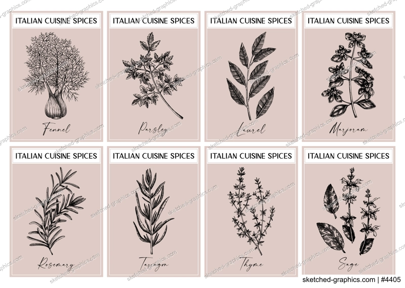 Italian spice labels set. Basil, mint, rosemary, parsley, sage, bay leaf, fennel  sketches. Herbs and spices hand-drawn vectot illustration. Vintage print design. NOT AI generated