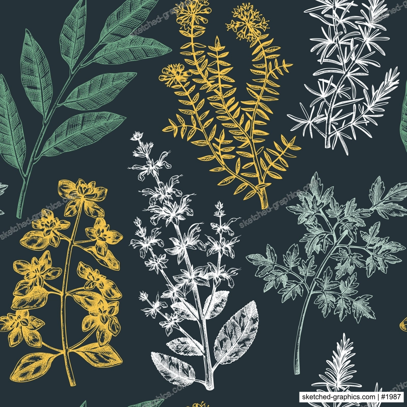 Vector background with typical herbs and spices for Italian cuisine. Hand-sketched kitchen herbal plants illustration. Aromatic food cooking ingredients backdrop. Hand drawn herbs background.
