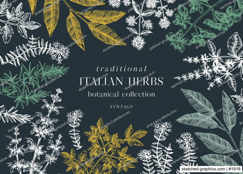 Vector banner design with  typical herbs and spices for Italian cuisine. Hand-sketched kitchen herbs plants background. Aromatic food cooking herbal ingredients frame. On chalkboard