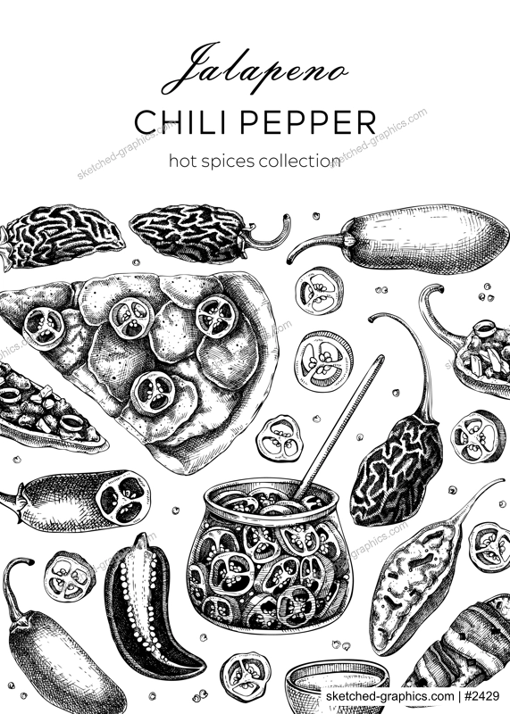  Mexican cuisine menu restaurant design template. Ripe jalapeno chili pepper sketches. Hot spices, vegetarian, healthy food hand drawn vector illustration. Jalapeno with slices and seeds for packaging