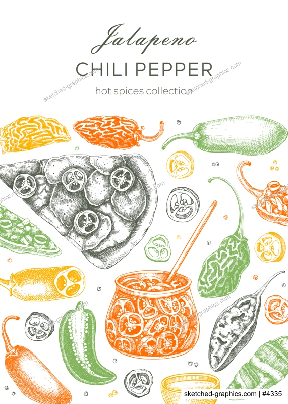  Mexican cuisine menu restaurant design. Ripe jalapeno chili pepper sketches. Hot spices, vegetarian, healthy food hand drawn vector illustration in color. Jalapeno with slices and seeds for packaging