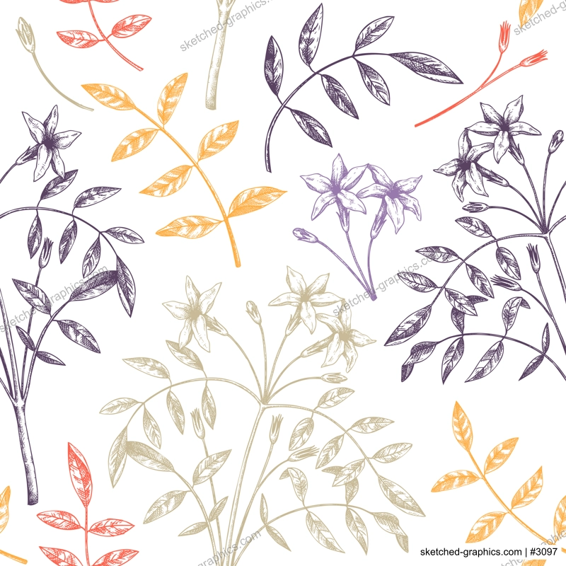 Hand sketched Jasmine seamless pattern in color. Botanical illustration with leaves and flowers. White Jasmine backdrop. Hand-drawn flowering plant background. Floral drawing on white background. 
